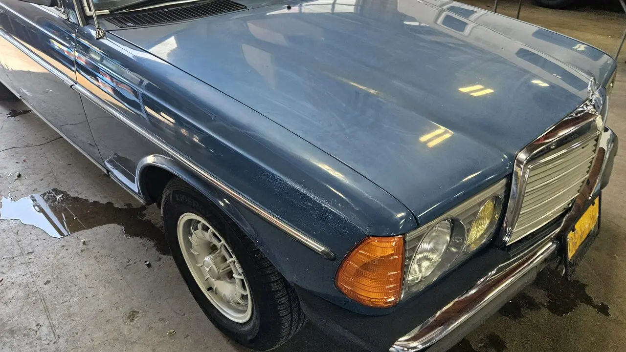 blue rose auto car detailing