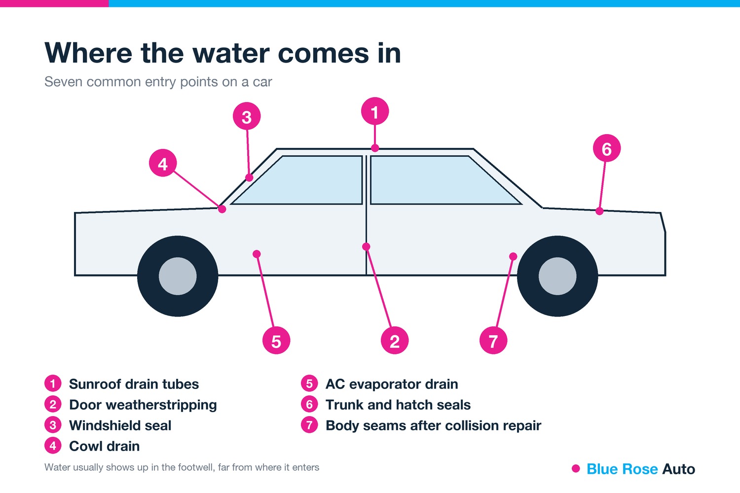 Car water leak repair diagram of seven entry points, from sunroof drains to trunk seals, Springfield, OR