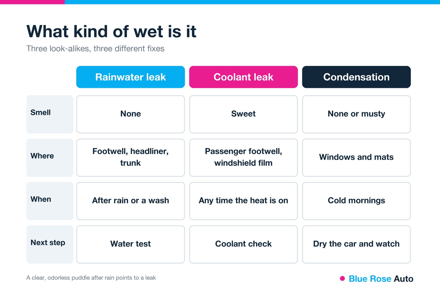 Car water leak vs coolant leak vs condensation comparison by smell, location and timing, Springfield, OR