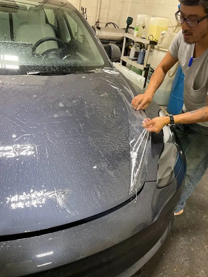 Color PPF in Eugene Color PPF in Eugene