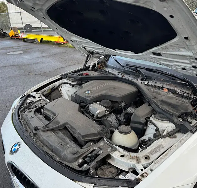 BMW Repair in Eugene