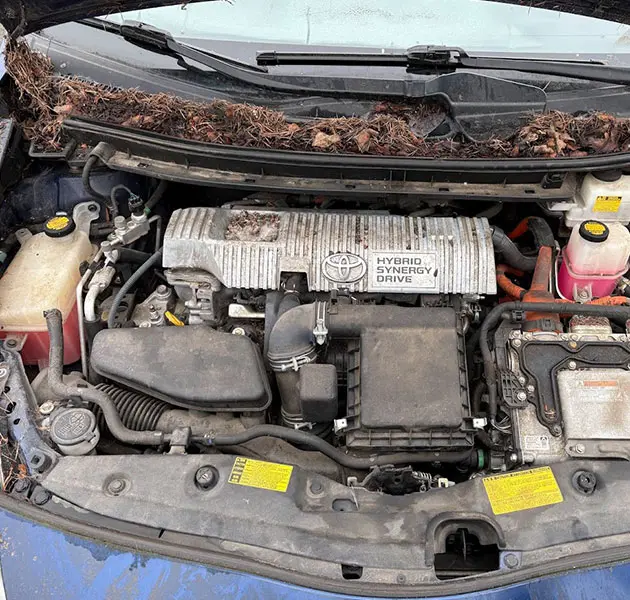 Hybrid Car Repair Hybrid Car Repair