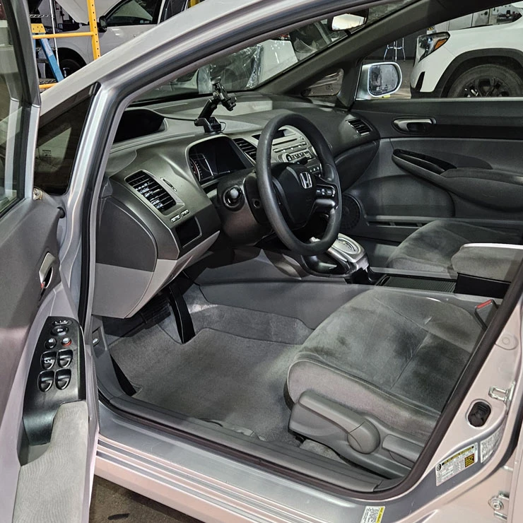 Insurance Mold Damage Repair Insurance Mold Damage Repair