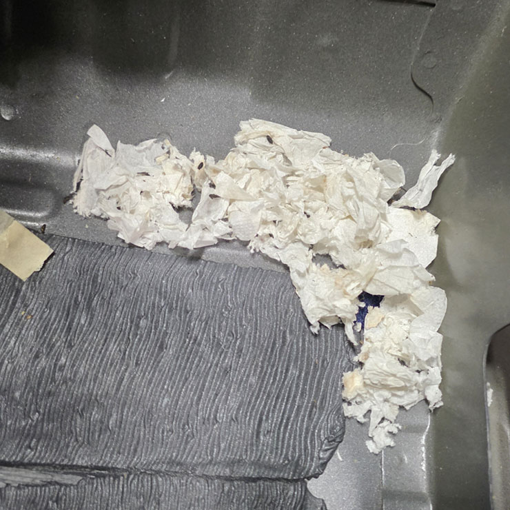 Interior Contamination Cleanup Interior Contamination Cleanup