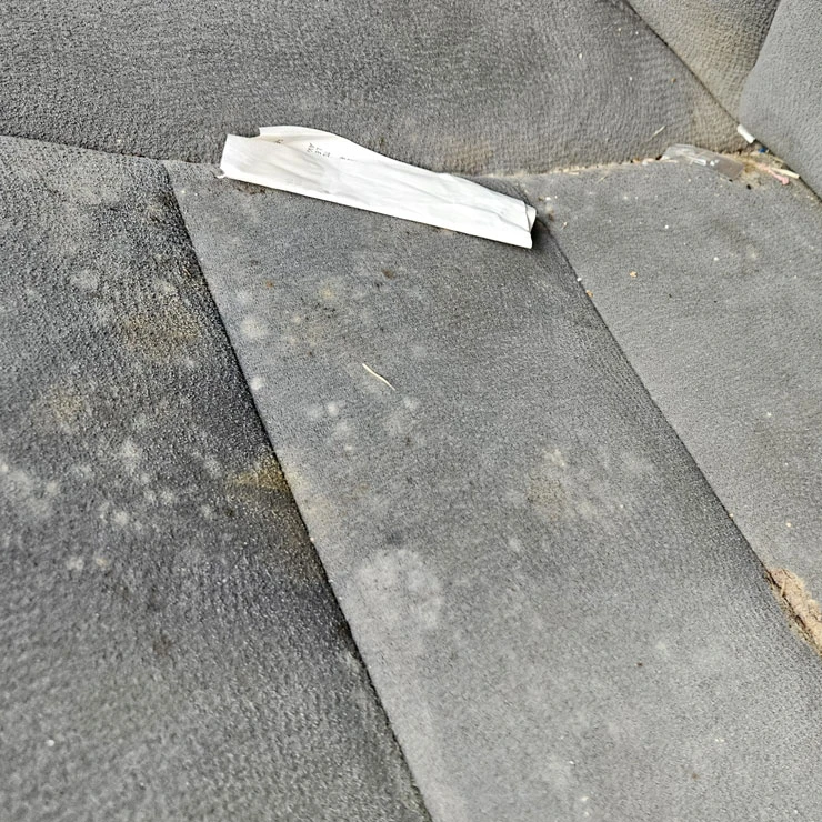 Interior Mold Remediation