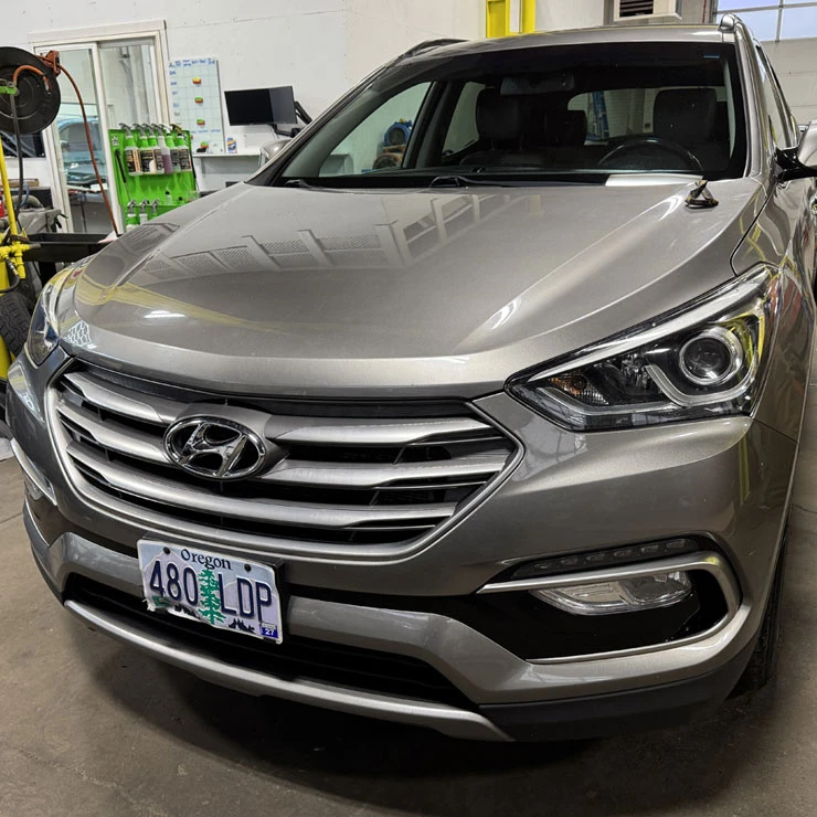 Interior Rodent Contamination Cleanup Interior Rodent Contamination Cleanup