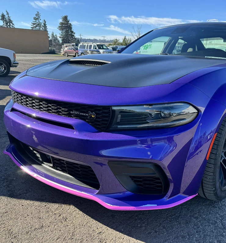 Paint Protection Film That Guards Your Finish Paint Protection Film That Guards Your Finish