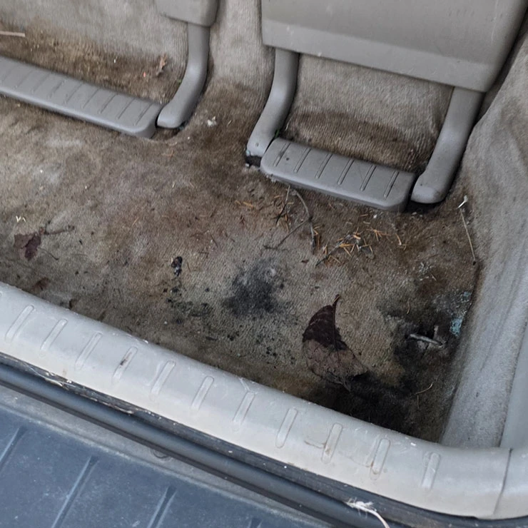 Sources of Vehicle Water Entry Sources of Vehicle Water Entry