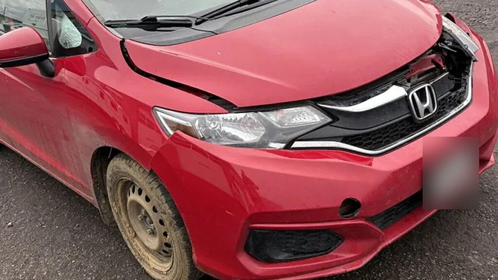 Buckled hood and grille from a front-end hit, damage that hitting a deer in Oregon can cause, at our Springfield shop