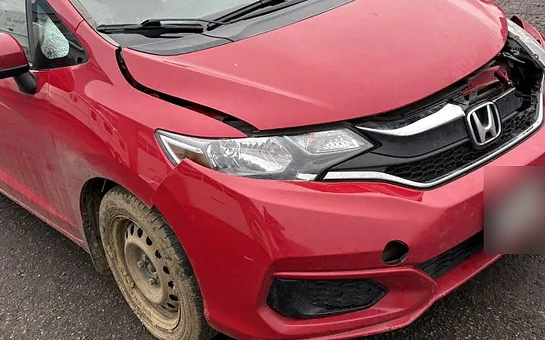 Hit a Deer in Oregon? What to Do in Lane County, Plus Insurance and Repairs