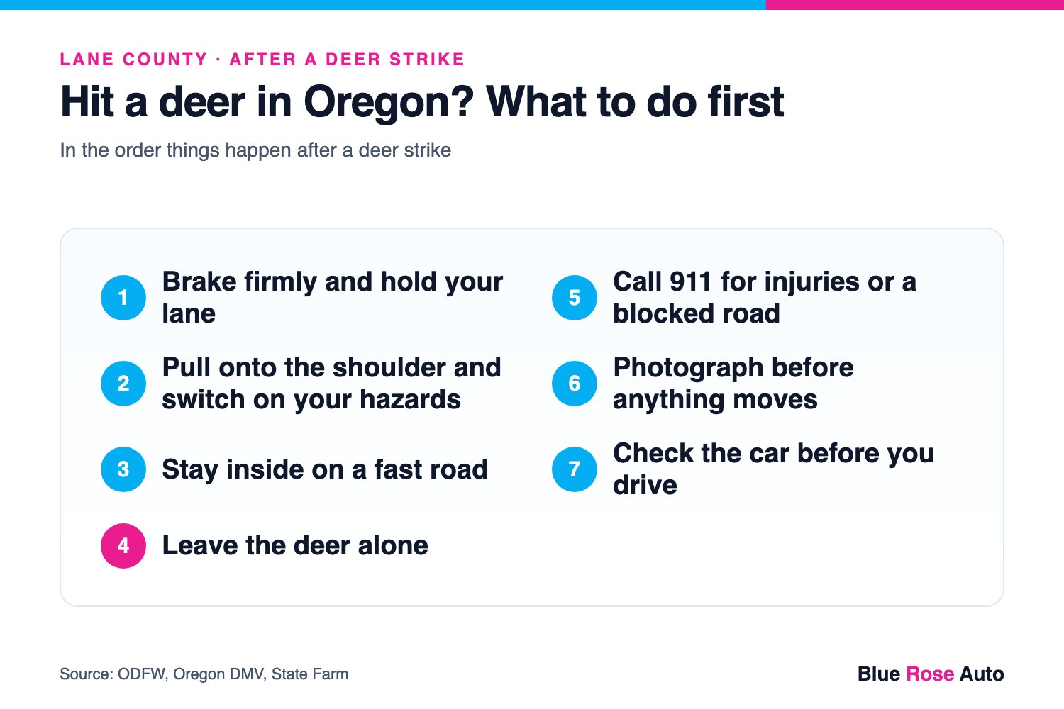 Seven steps to take after you hit a deer in Oregon, from holding your lane to checking the car, for Lane County drivers
