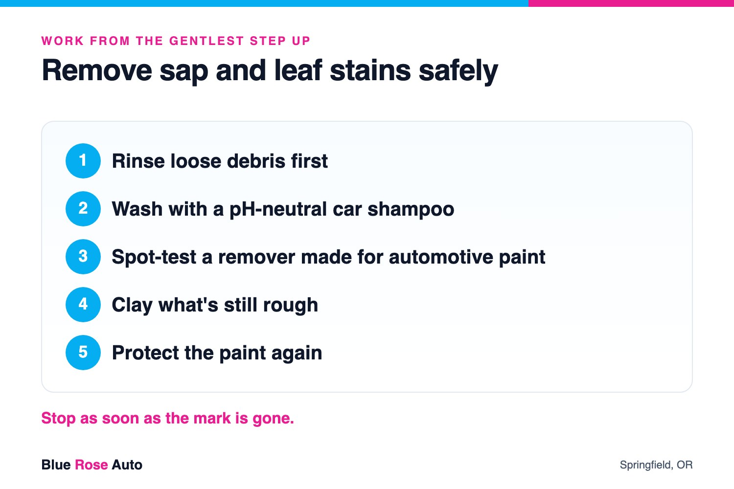 Five steps to safely remove tree sap and wet leaf stains from car paint during a Willamette Valley fall